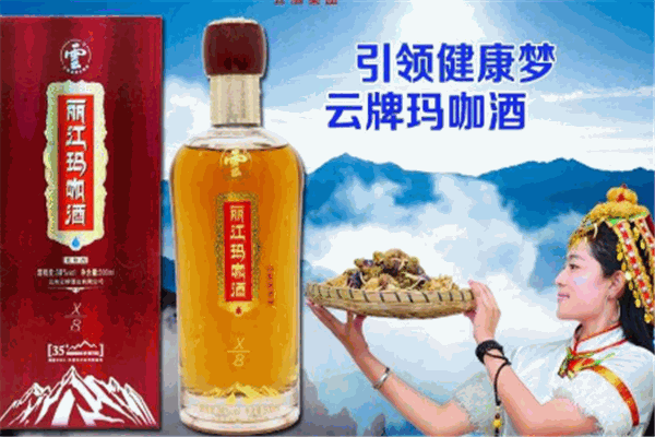云牌丽江玛咖酒
